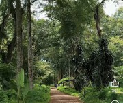 BÁN ĐẤT hơn 10.000m2  LONG KHÁNH ĐỒNG NAI chỉ 1,3ty/ sào