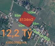 Bán lô đất lúa chuyển thổ mặt tiền tỉnh lộ 833 giá 12,2 tỷ