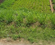 Bán lô đất mặt đường có diện tích 136m2   full thổ cư   thuộc thôn thông   xã trung nghĩa   ý yên