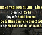 Trại heo 22ha lãi ngay 2 tỷ/tháng