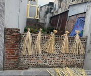 Bán đất thái bình - mai lâm- đông anh- ô tô tránh- hàng xóm vin cổ loa 110m hơn 11 tỷ 9tl