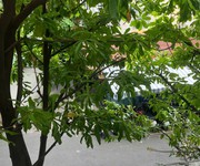 Chính chủ cần bán căn hộ chung cư lầu 1 ngay mt/hẻm trần quang diệu, phường 13, quận 3