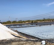 Chính chủ cần bán 29.328,2m  đất mặt tiền đường duyên hải, huyện cần giờ - thửa 302   305   306
