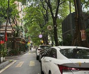 Chính chủ gửi bán nhà phố ngụy như kon tum   thanh xuân 5 tầng phân lô bàn cờ, ô tô tránh, vỉa hè,