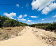 Bán 1.9 ha đất đường đất 10m - tân xuân - hàm tân giá ngộp 3 tỷ sổ riêng