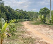 Bán 5.000m  đất long nguyên   bàu bàng  giá chỉ 3 triệu/m