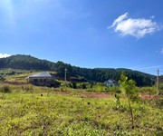 Cần Bán Đất 309m , 209m  Đất Ở, 2 Mặt Tiền, Giữa Đồi Thông