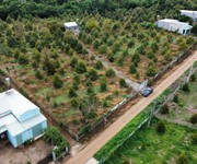 Hot   chính chủ bán đất vườn sầu riêng dang thu hoạch   diện tích: 15.337,4 m    giá bán: 20 tỷ