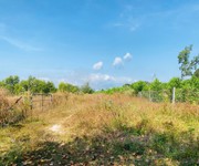 Bán 4 sào đất hẻm quốc lộ 55, tân phước, lagi giá ngộp 600 triệu/sào