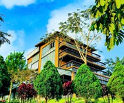 Cuối tuần về Bảo Lộc, tận hưởng cuộc sống giữa thiên nhiên