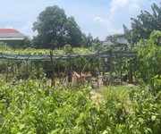 Bán gấp 332m2 đất full thổ cư nguyễn đình chiểu nd, phước hội, lagi 1.2 tỷ