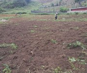 Chính chủ gửi bán bất động sản