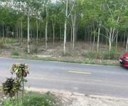 Bán đất tại đường lò rèn, long hòa, 4 tỷ, 880 m2, giá tốt, view đẹp