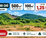 Bán đất chính chủ   thành công, thái nguyên
