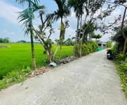 Chính chủ bán lô điện bàn tây giá 590 triệu