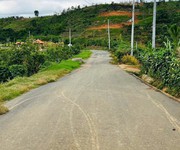 Đất đẹp - giá tốt chính chủ cần bán 4.158m  đất vườn tân lạc    bảo lộc chỉ 4,9 tỷ