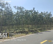 Hàng hiếm tại ấp núi cậu, đt 744, dầu tiếng, dt 262 m2, giá 2,7 tỷ