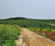 Chính chủ bán 1.000m2 đất bảo lâm 3, lâm đồng - view rừng thông, đồi trà tuyệt đẹp, 2 sổ riêng liền