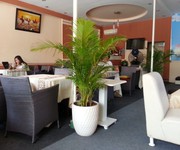 Sang Gấp Quán Cafe Máy Lạnh   Điểm Tâm MT Võ Thị Sáu Ngay TT Biên Hòa