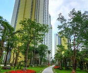 Bán căn hộ Penthouse Chung Cư Rừng Cọ Ecopark, DT 220m CK 5 giá trị