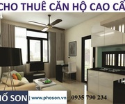 3 Cho thuê căn hộ biển Đà Nẵng, đầy đủ nội thất, giá từ 300usd
