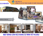 Chung cư mini Võ Thị Sáu   Thanh Nhàn 1280trcăn, ô tô đỗ cửa