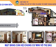 2 Chung cư mini Võ Thị Sáu   Thanh Nhàn 1280trcăn, ô tô đỗ cửa