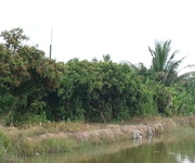Cần bán gấp đất tại Tỉnh lộ 902, Thanh Đức, Long Hồ, Vĩnh Long
