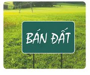 Bán đất mặt tiền đường ô tô vào được Tp Quảng Ngãi