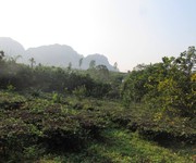 7 Cần bán nhà vườn diện tích 10.000m  1ha  tại xã Trần Phú, Chương Mỹ