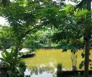 Bán Nhà vườn tại Ao cá Bác Hồ xã Ngọc thanh TX Phúc yên Vĩnh phúc