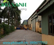 1 Cho thuê kho, nhà xưởng 2500 m2, 3000 m2 tại Kiến An, An Dương, Hải Phòng