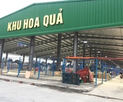 Bán Kiot Hải Sản tại chợ Dầu Mối Sở Dầu, Hồng Bàng