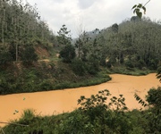 7 Đất nông nghiệp 50 ha ở Đạ Rsal, Đam Rông, Lâm Đồng 7 Đất nông nghiệp 50 ha ở Đạ Rsal, Đam Rông, Lâm Đồng