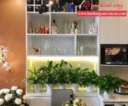 11 Cho thuê căn hộ, phòng ở SHP Plaza Lạch Tray, Văn Cao, Lê Hồng Phong, Vincom, Waterfront City 11 Cho thuê căn hộ, phòng ở SHP Plaza Lạch Tray, Văn Cao, Lê Hồng Phong, Vincom, Waterfront City