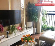 13 Cho thuê căn hộ, phòng ở SHP Plaza Lạch Tray, Văn Cao, Lê Hồng Phong, Vincom, Waterfront City 13 Cho thuê căn hộ, phòng ở SHP Plaza Lạch Tray, Văn Cao, Lê Hồng Phong, Vincom, Waterfront City