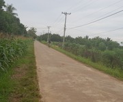 Bán đất ấp Bình Tiến xã Xuân Phú Xuân Lộc Đồng Nai