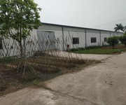 2 Cho thuê 2000 hoặc 5000m đất mặt đường liên thôn xã Đông Hưng - Tiên Lãng