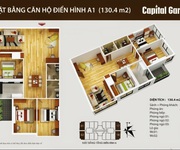 10 Trực tiếp CĐT cho thuê căn 2, 3, 4 PN, 9-10-12 tr/tháng tại CC Capital Gaden 102 Trường Chinh