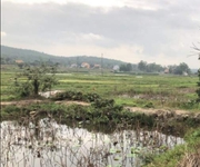 1 Cần bán đất trang trại ,vườn đồi .Ao cá