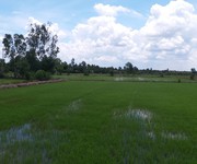 2 Bán đất thổ vườn huyện đức hòa, 1470m2 xã Hòa Khánh Nam giá 1 tỷ 300 triệu.