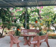14 Thiên đường nghỉ dưỡng tại Nha Trang Biệt thự vườn Siêu đẹp 672m2