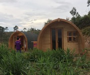 4 Dự Án Lâm Đồng Farm 4 Dự Án Lâm Đồng Farm