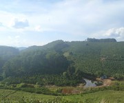 2 Dự Án Lâm Đồng Farm 2 Dự Án Lâm Đồng Farm