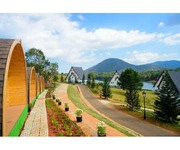 Dự Án Lâm Đồng Farm Dự Án Lâm Đồng Farm