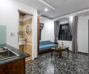 4 Căn hộ Penthouse 1 phòng ngủ gần cầu Rồng - A219