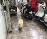 5 Cần bán Nhà đẹp chính chủ. 5 Cần bán Nhà đẹp chính chủ.