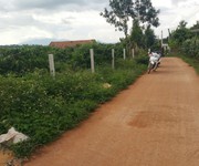 2 Bán lô đất đường Tân Lạc, Đinh Lạc, Di Linh  DT 2515m2