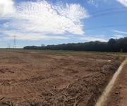 1 Đất xây kho bãi hoặc xây nhà nuôi chim yến 1 Đất xây kho bãi hoặc xây nhà nuôi chim yến