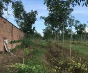 6 Bán đất trồng cao su tại huyện Đức Linh, Tỉnh Bình Thuận